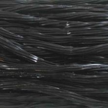 Black Anise