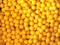 Sixlets Golden Yellow Chocolate 1LB 